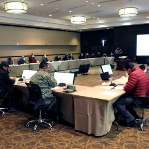 ACUERDOS DEL SUBCOMITÉ TÉCNICO REGIONAL COVID-19 SURESTE1