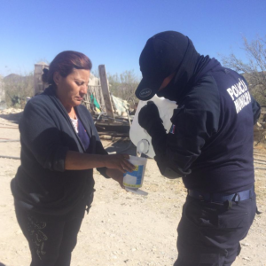 Captura de pantalla 2021-01-02 a la(s) 11.03.31 a.m.