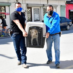 Departamento de Control Animal en Monclova Informa1