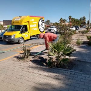 REALIZAN TAREAS DE REHABILITACIÓN Y LIMPIEZA 1