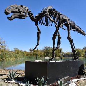 SIGUE COAHUILA CON LA PROMOCIÓN TURÍSTICA DE VIÑEDOS