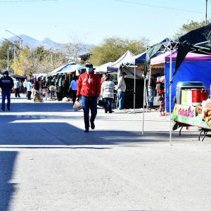Supervisión a pulgas y fayucas serán continuas