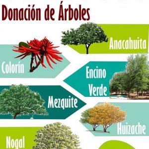 Campaña de donación de árboles
