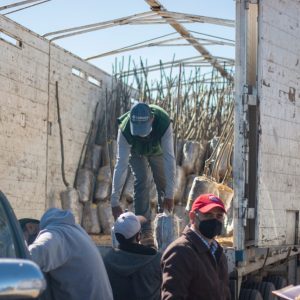 ENTREGA COAHUILA 8 MIL NOGALES A PRODUCTORES DE MADERO Y SAN PEDRO1