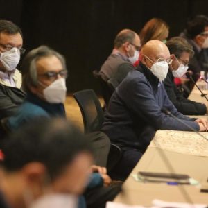 Subcomité Técnico Regional Covid-19 Sureste1