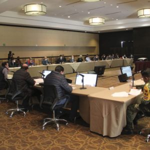 ACUERDOS DEL SUBCOMITÉ TÉCNICO REGIONAL COVID-19 SURESTE (1)