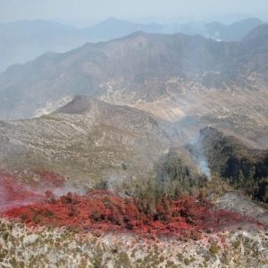 AVANZA AL 85 % EN EL CONTROL Y 75 % EN LIQUIDACIÓN DEL INCENDIO EN ‘LA PINALOSA’1