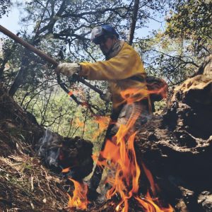 Bomberos de Monclova se suman al combate de incendio en Arteaga