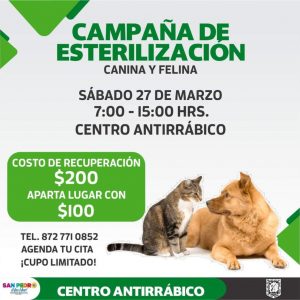 CAMPAÑA DE ESTERILIZACIÓN SERÁ ESTE SÁBADO