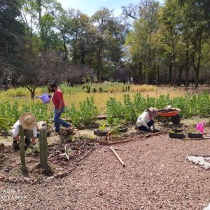 CAPACITACIÓN TÉCNICA PARA LA PRODUCCIÓN AGROECOLÓGICA DE ALIMENTOS