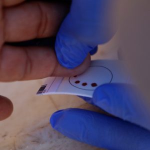 CRIH CONTINÚA REALIZANDO MUESTRAS REFERENCIALES EN EL PANTEÓN NÚMERO 2 DE TORREÓN