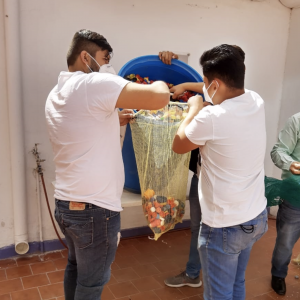 Captura de Pantalla 2021-03-05 a la(s) 10.13.48