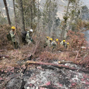 Captura de Pantalla 2021-04-02 a la(s) 9.50.31