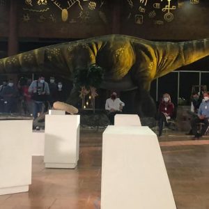 Comité Ejecutivo de la Ruta Vinos y Dinos1