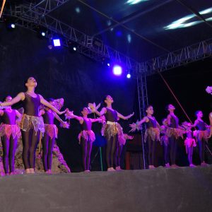 El 21 de marzo será la inauguración de la Feria de las Artes 2021