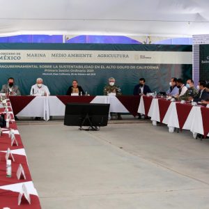 Gobierno de México acuerda fortalecer las acciones y el diálogo para lograr el desarroll