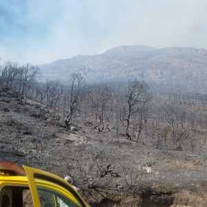 INFORMA CONAFOR ATENCIÓN A INCENDIOS FORESTALES EN ARTEAGA Y SANTIAGO