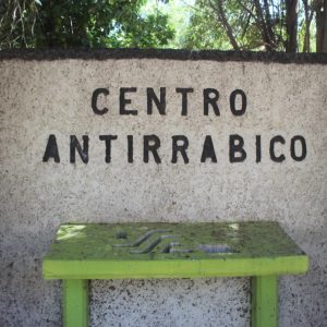 MANTIENE AYUNTAMIENTO VACUNACIÓN ANTIRRÁBICA PERMANENTE1