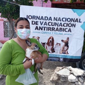 PREPARAN CAMPAÑA DE VACUNACIÓN ANTIRRÁBICA EN SAN PABLO, LA VICTORIA Y ALBIA