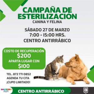 PROGRAMAN CAMPAÑA DE ESTERELIZACIÓN CANINA Y FELINA1