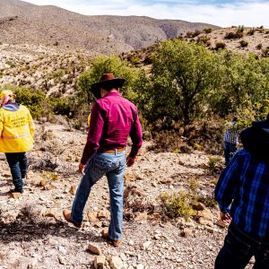 Programa de Pago por Servicios Ambientales1