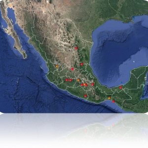 SITUACIÓN DE INCENDIOS FORESTALES EN MÉXICO