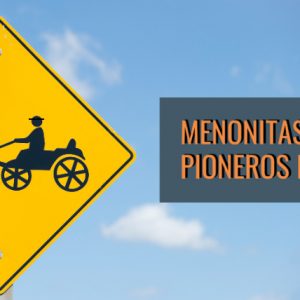 menonitasportadawp