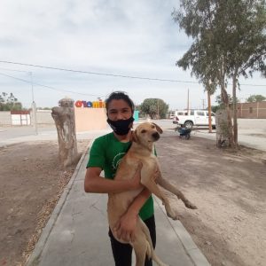 ACTIVIDADES DEL CENTRO ANTIRRÁBICO SE MANTIENEN EN LOS EJIDOS