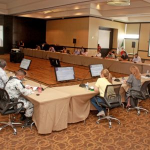 ACUERDOS DEL SUBCOMITÉ TÉCNICO REGIONAL COVID-19 SURESTE