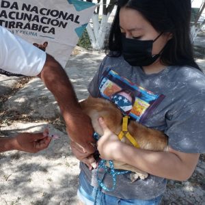 ATENDERÁ CENTRO ANTIRRÁBICO EJIDOS DE LA PARTE ALTA1