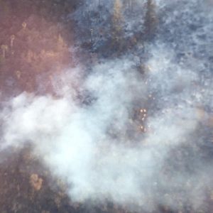 CONTROLA COAHUILA AL 70% INCENDIO EN MONTERREAL1