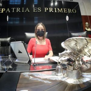 Designan a Verónica Martínez como vicepresidenta de la mesa directiva del senado de la república
