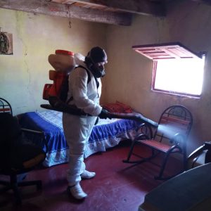IMPLEMENTAN ACCIONES DE FUMIGACIONES INTRADOMICILIARIAS 1