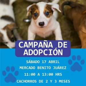 INSTALAN STAND PARA ADOPCIÓN CANINA