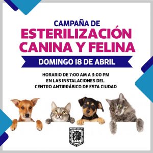 PREPARAN CAMPAÑA DE ESTERILIZACIÓN DEL MES DE ABRIL