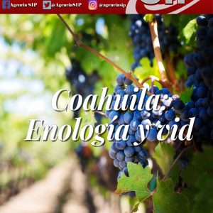 Reportaje SIP abril 2021-1PORTADA_page-0001