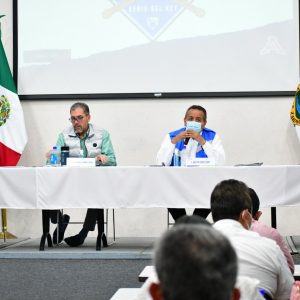 Reunión del subcomité de salud de las regiones Centro - Desierto