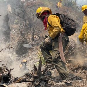 SOFOCAN BRIGADISTAS Y DC 10 INCENDIO EN LA SIERRA DE ARTEAGA