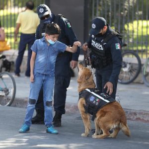 Se reanuda la Ruta Recreativa1