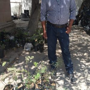 Todo un éxito la campaña de donación de árboles1