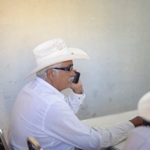 LLUVIAS RECIENTES EN LA REGIÓN CENTRO DE COAHUILA FAVORECEN A LA AGRICULTURA1