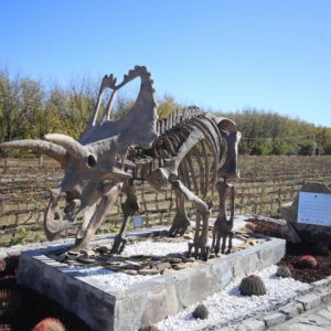 Premian a Vinos & Dinos en Madrid1