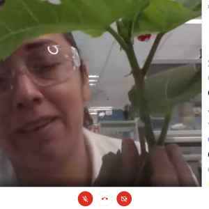 Realiza CIQA Open house virtual para niños1