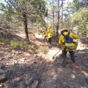 201577830_522744802106784_2725321978552370837_n