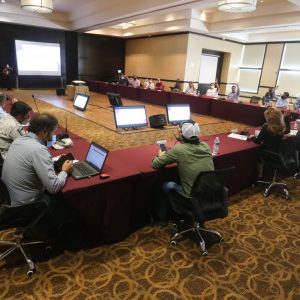 ACUERDOS DEL SUBCOMITÉ TÉCNICO REGIONAL COVID-19 SURESTE