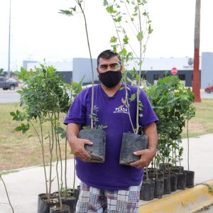 CAMPAÑA DE REFORESTACIÓN CON EL INTERCAMBIO DE 200 ÁRBOLES POR MATERIAL PET