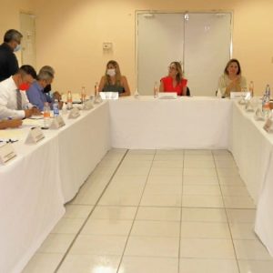 SE REÚNE SEFIRC COAHUILA CON PROFESIONALES INDEPENDIENTES DE AUDITORÍA
