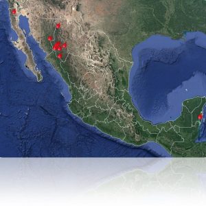 SITUACIÓN DE INCENDIOS FORESTALES EN MÉXICO