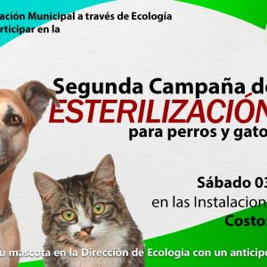 Segunda campaña de esterilización