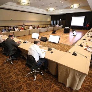 Subcomité Técnico Regional Covid-19 Sureste1